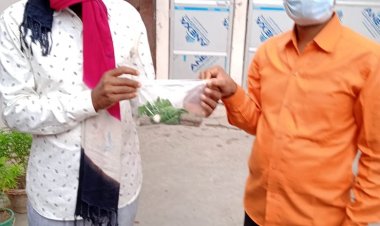 किशोर फोन कर बांट रहे औषधीय पौधे गिलोय