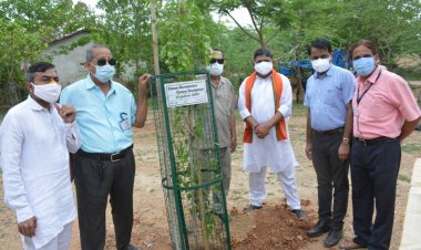 शहर के 40 प्रबुद्धजन ने सुरपुर रोड पर किया वृक्षारोपण
