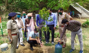 माताश्री गोमती देवी जन सेवा निधि - ल्यूपिन द्वारा विश्व पर्यावरण  दिवस कार्यक्रम का  किया आयोजन