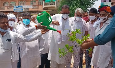 ग्रीन इन्डिया ग्रीन अलवर का किया संकल्प