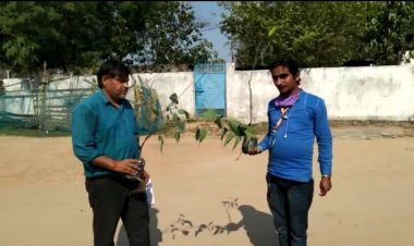 स्वागत समाज कल्याण समिति बरगवां की तरफ से केटीजी समाचार के ब्यूरो चीफ सिंगरौली को फलदार वृक्षों का पौधा वितरित कर वायु को सुरक्षित रखने का दिया नया संदेश