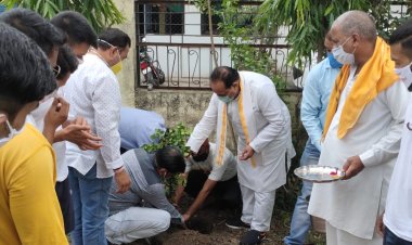 हरित पर्व महोत्सव का शुभारंभ कर मनाया संस्था का स्थापना दिवस