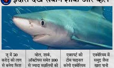 देश मे पहली बार इंदौर के ज़ू मे दिखेगी शार्क व्हेल व 100 से ज्यादा प्रजातियां