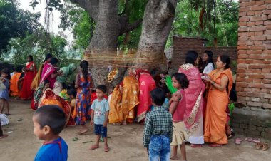 The married Women did Vatsavitri Pooja for long nuptials.