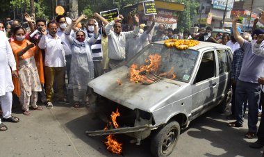 भाजपा को देश रहा झेल : सोनिया