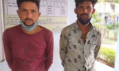 गुजरात कत्लखाने जा रही 10 गौ वंश को डीएसटी टीम ने कराया मुक्त,दो व्यक्तियों किया डिटेन