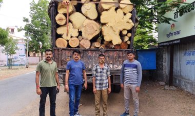 डीएसटी ने कार्यवाही करते लकड़ी से भरा ट्रक किया जब्त,एक आरोपी किया डिटेन