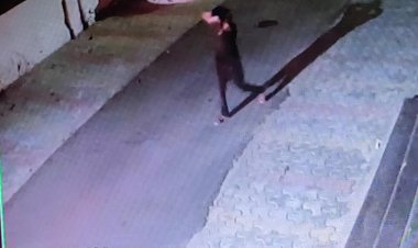 कोरोना पीडि़त परिवार को दोहरी मार झेलनी पड़ी सूने घर में अज्ञात बदमाशानों ने की सेंधमारी लगभग 1 लाख की नकदी व आभूषण हुए चोरी