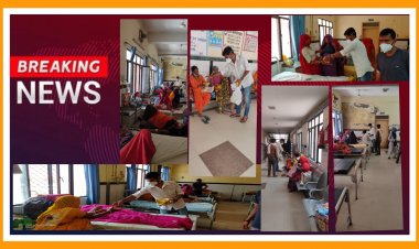 कांग्रेस राष्ट्रीय प्रवक्ता के जन्मदिन पर युवा कांग्रेस ने मरीजों को फल वितरण एवं पौधारोपण का कार्य किया