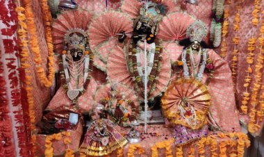 भगवान जगन्नाथ गर्भ गृह से बाहर आकर भक्तों को देंगे  दर्शन