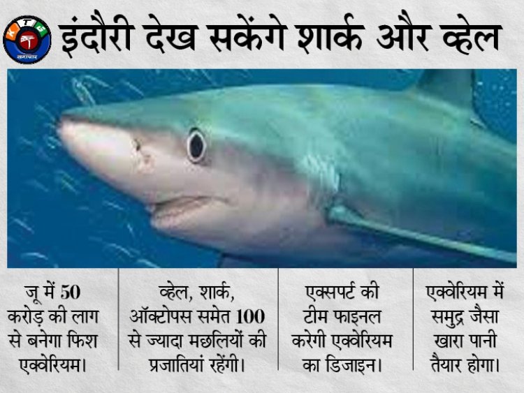 देश मे पहली बार इंदौर के ज़ू मे दिखेगी शार्क व्हेल व 100 से ज्यादा प्रजातियां