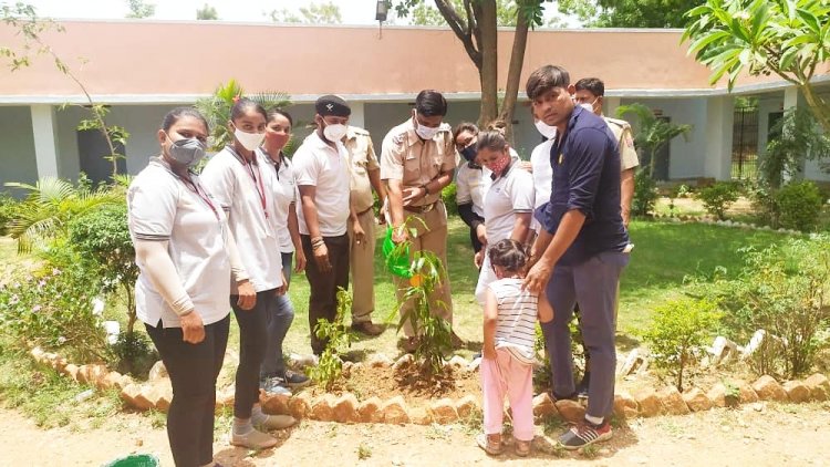 न्यू आदर्श श्रमजीवी पत्रकार संघ राष्ट्रीय के स्थापना दिवस पर डूंगरपुर जिला मुख्यालय के सदर थाना परिसर में किया वृक्षारोपण