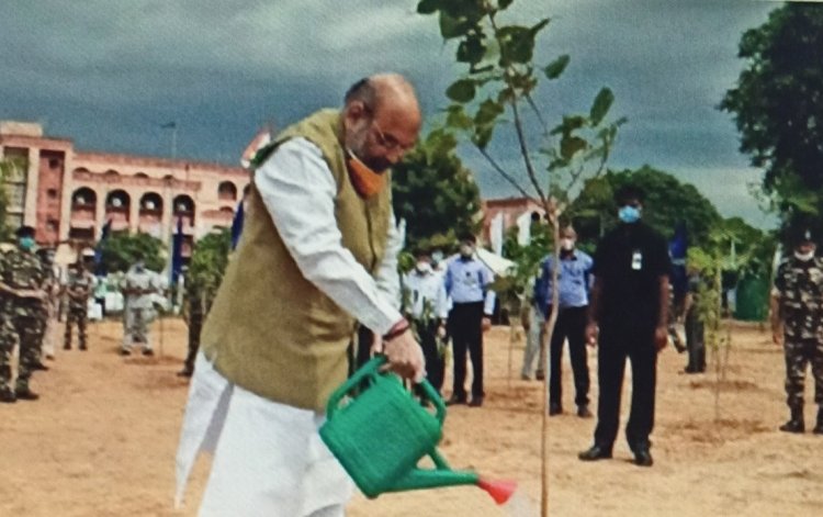 केंद्रीय गृह मंत्री अमित शाह अहमदाबाद में वृक्षारोपण कार्यक्रम का प्रारंभ करवाया