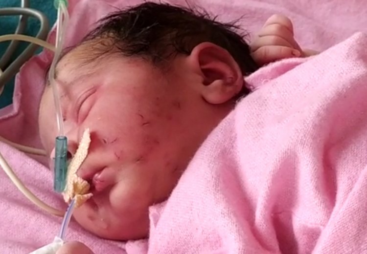 जन्म देती ही निर्दय माँ ने अपनी बच्ची को झड़ियों में छोड़ कर चली गई, चीटियों व मकोड़ो ने किया बच्ची पर  हमला