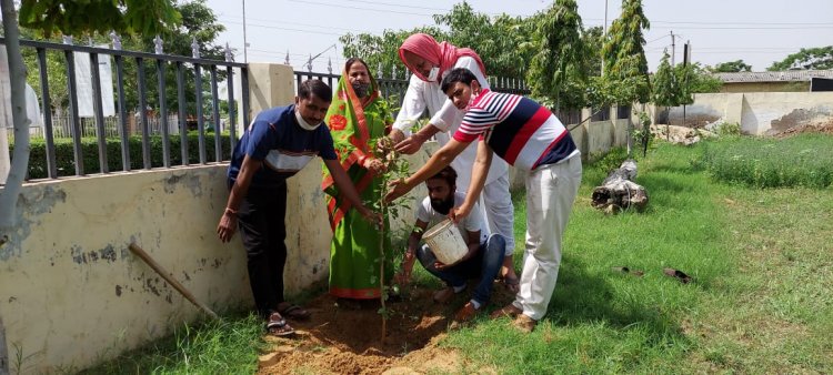 विधायक आवास से किया वृक्षारोपण अभियान का शुभारंभ