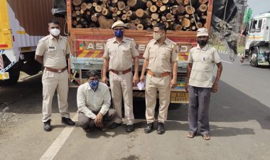 बिछीवाड़ा पुलिस ने अवैध बबूल की गीली लकड़ियों से भरा ट्रक पकड़ा, वन विभाग को किया सुपुर्द