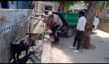जाको राखे साइयां मार सके ना कोई