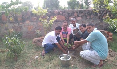 प्रकृति संरक्षण हेतु भाजपा कार्यकर्ताओं द्वारा वृक्षारोपण किया गया