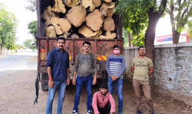 डीएसटी टीम ने कार्यवाही करते हुए गीली लकड़ी से भरा पकड़ा ट्रक