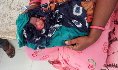 चिखली उपखंड के  कुआं थाना क्षेत्र  मे निर्दयी माँ ने छोटी बच्ची को काटो मे फेका।