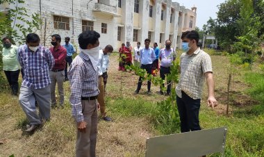 जिला कलेक्टर ओला ने बिछीवाड़ा क्षेत्र का किया दौरा राजकीय महाविद्यालय, विवेकानंद मॉडल स्कूल, मिनी स्टेडियम हेतु प्रस्तावित भूमि का किया निरीक्षण