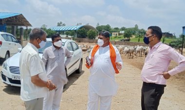 गायो की सेवा और सरंक्षण में आमजन भी निभाए अपनी जिम्मेदारी - सभापति