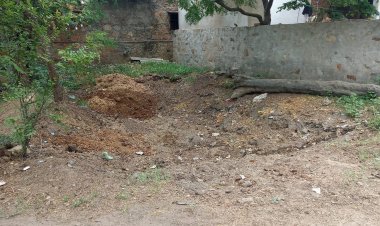 अतिक्रमण हटाने के मामले में तहसीलदार पर लीपा पोती करने का आरोप।