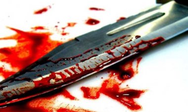 भीलवाड़ा पुलिस जुटी हत्यारे की तलाश में