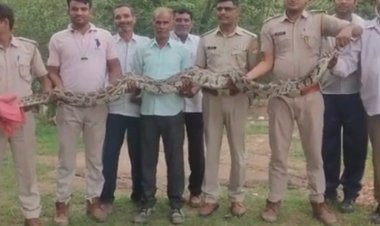अजगर सर्प को खेत में देखकर ग्रामीणों में मची भगदड़