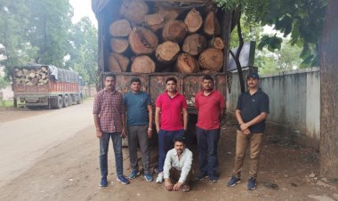 लकड़ी तस्करी के खिलाफ डीएसटी की  बड़ी कार्यवाही।