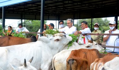 मेरा सपना की डूंगरपुर शहर बने पॉलीथिन मुक्त - हर्षवर्धन सिंह