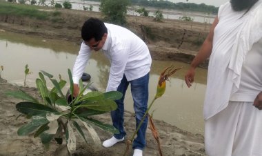समाजसेवी प्रदीप बंसल अलवर सरस् डेयरी के चेयरमैन बन्ना राम मीणा पर्यावरण संरक्षण और वक्षारोपण किया