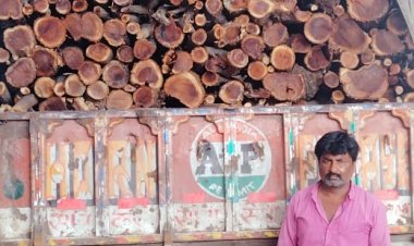 अवैध लकड़ी तस्करी के खिलाफ डीएसटी टीम की कार्यवाही,बबूल की लकड़ी के भरा ट्रक मय चालक को किया डिटेन