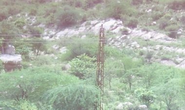 वन विभाग की भूमि पर विद्युत विभाग ने किया अतिक्रमण जबरन लगाया पोल
