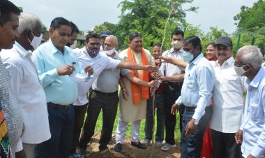 सभापति ने वार्ड 1 में पौधारोपण कर वार्डवासियों को पौधे दिए गोद