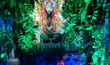 रक्षा बंधन के पर्व पर जगन्नाथ महाराज को हरियाली शृंगारिक झांकी के रूप में हिंडोले में  झूले पर झूलाया गया
