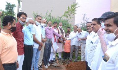 गाय और पर्यावरण संरक्षण मानव जीवन का आधार - पंडया