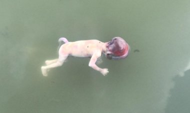 लोहारिया तालाब में तैरता मिला भ्रूण,इलाके में फैली सनसनी