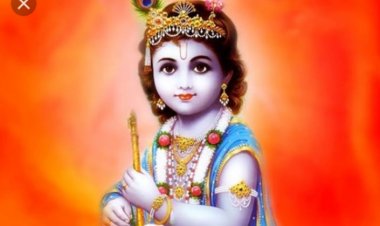 यादव समाज श्री कृष्ण जन्मोत्सव पर पालकी में श्री कृष्ण विराजित कर निकालेगा यात्रा