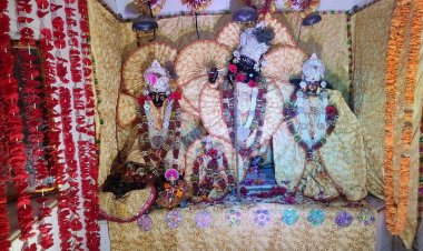 कृष्ण जन्माष्टमी के पर्व पर राजगढ़ कस्बे के चौपड़ बाजार स्थित जगन्नाथ मंदिर में सजी भगवान नयनाभिराम झांकी