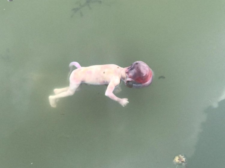 लोहारिया तालाब में तैरता मिला भ्रूण,इलाके में फैली सनसनी