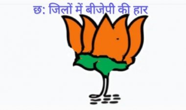 पंचायत के चुनावों में कांग्रेस ने भाजपा में मारी पटक