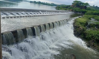 शहर के पेयजल का प्रमुख स्त्रोत डिमिया छलका, मारगिया बांध भी ओवरफ्लों, कनबा में सर्वाधिक 90 मिमी वर्षा