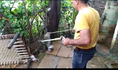 10 फिट लम्बे 20 किलो वजनी अजगर व मछली के जाल में फंसे 3 फिट लम्बे कोबरा साँप किया रेस्क्यू