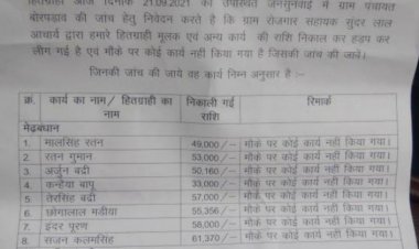 ग्राम बोरपड़ावा के सचिव, सरपंच एवं मंत्री ने किया करोड़ों का भ्रष्टाचार, ग्रामीण पहुंचे जनसुनवाई