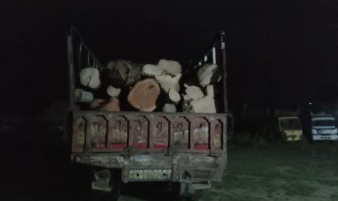 लकड़ी तस्करी खिलाफ डीएसटी की बड़ी कार्यवाही 1क्रेन,1 ट्रक व कार सहित 3 लोगों किया डिटेन