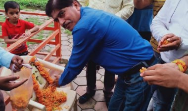 दीनदयाल जी की जयंती पर स्वच्छता अभियान चलाकर किया पौधारोपण