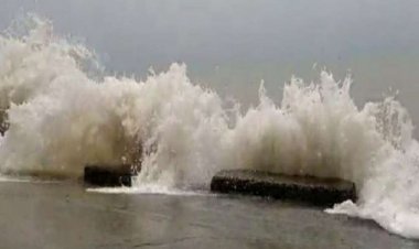 Cyclone Gulab: आंध्र प्रदेश और ओडिशा के तटीय इलाकों में पहुंचा चक्रवात गुलाब, हवाओं की रफ्तार 100 किलोमीटर प्रति घंटा