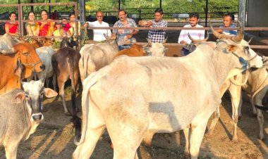 महिला मंच ने श्राद्ध पक्ष की अमावास पर गौ माता को गो ग्रास किया अर्पित