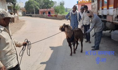 इंसानियत आज  कायम है  बेजुबान बकरे को पशु औषधालय ले जाकर दवाई करवाई।